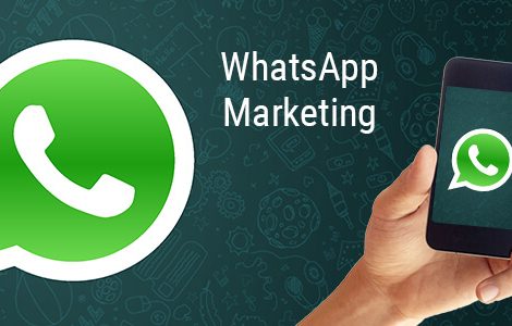 whatsapp marketing company in jaipur|whatsapp marketing in jaipur|whatsapp marketing company in rajasthan|bulk whatsapp service provider|whatsapp marketing company in jaipur|whatsapp marketing in jaipur|whatsapp marketing company in rajasthan|bulk whatsapp service provider|whatsapp marketing company delhi|whatsapp marketing in delhi|whatsapp marketing company delhi|bulk whatsapp service provider delhi||whatsapp marketing company in noida|whatsapp marketing in noida|whatsapp marketing company in noida|bulk whatsapp service provider noida|whatsapp marketing company gurgaon|whatsapp marketing in gurgaon|whatsapp marketing company gurgaon|bulk whatsapp service provider delhi|whatsapp marketing company delhi|whatsapp marketing in delhi|whatsapp marketing company delhi|bulk whatsapp service provider delhi||bulk whatsapp service provider chandigarh|whatsapp marketing company chandigarh|whatsapp marketing in chandigarh|whatsapp marketing company chandigarh|bulk whatsapp service provider chandigarh |whatsapp marketing in bangalore|whatsapp marketing company in bangalore|bulk whatsapp service provider bangalore|whatsapp marketing companies in chennai|whatsapp marketing company in chennai|whatsapp marketing in chennai|bulk whatsapp service provider chennai|web development company in chandigarh|web development company in bangalore|web development company in chennai|seo company in chandigarh|seo company in bangalore|seo company in chennai|whatsapp marketing software|whatsapp marketing software provider