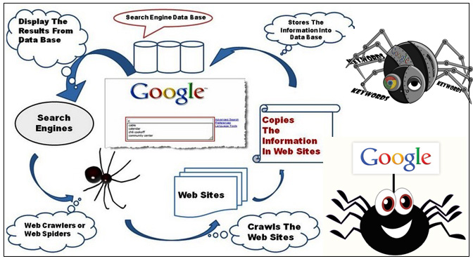 Search Engine Spider robotes bots|seo company in jaipur|seo company in delhi|seo company in gurgaon|seo company in india|seo company