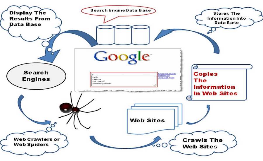 search engine working|seo company in jaipur|seo company in delhi|seo company in gurgaon|seo company in india|seo company
